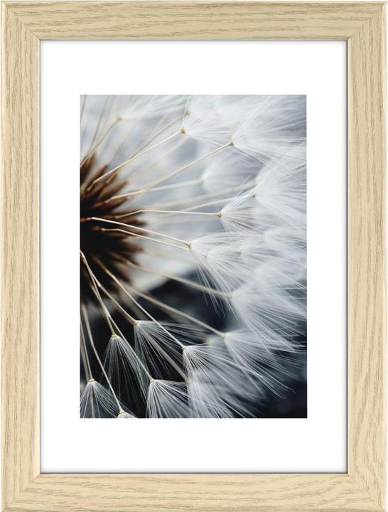 Rovere