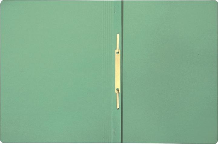 Image du produit Bene 25 Chemises en carton vert A4 (A4, 1 x)