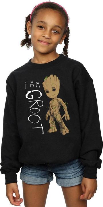 Produktbild Guardians Of The Galaxy I Am Groot Scribbles Sweatshirt Mädchen (140, 146)