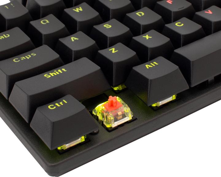 Actual product image Mechanical Gaming Keyboard Shark Commandos, RED Switch, Rainbow LED backlight, US layout (Cable)