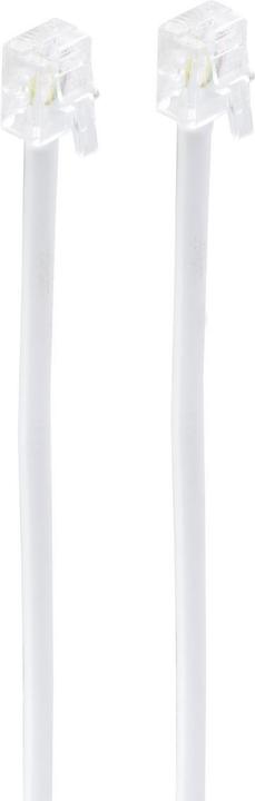 Actual product image Shiverpeaks BASIC-S modular cable, RJ11-RJ11 plug, 15.0 m Length: 15.0 m, colour: black, 4-wire