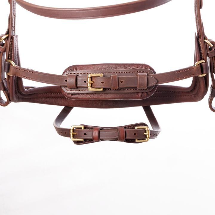 Actual product image Kavalkade Caliano Via English Nb. With Flash