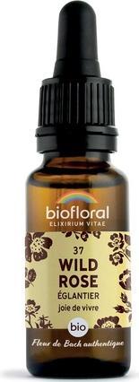 Actual product image Biofloral Elixir Wild Rose (20 ml)