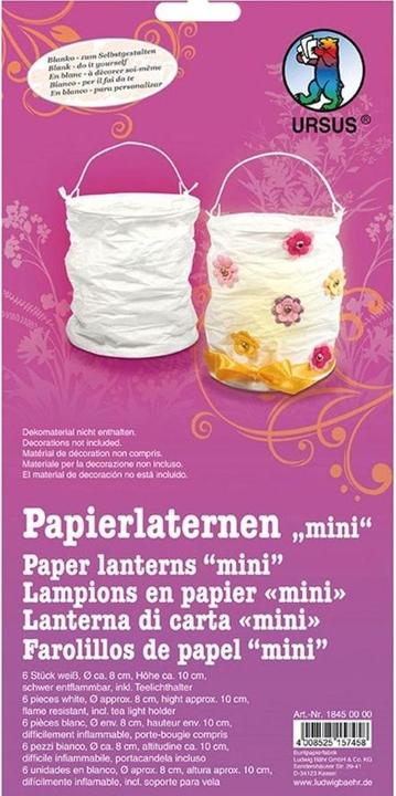 Produktbild Ursus Lampion Ø 8 cm Weiss, 6 Stück (6 x)