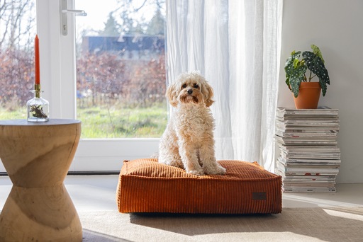 Productafbeelding Designed by Lotte DUBBEL BANKKUSSEN RIBBED TERRA 70X55X15 (Hond)