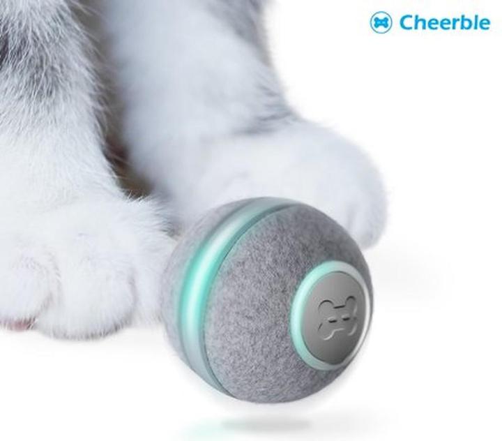 Actual product image Cheerble M1 Interactive Cat Ball (Grey) (Cat ball toy)