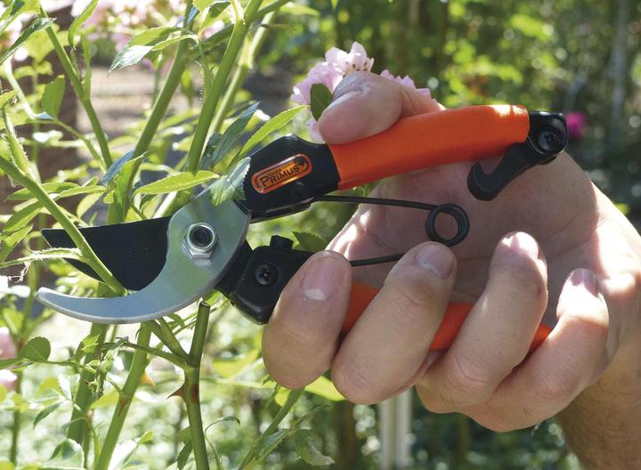 Produktbild Garten Primus Damengartenschere "Königin der Rosen"