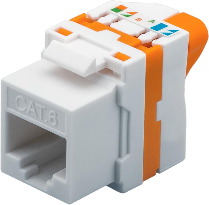 Actual product image DS-IT CAT6 UTP Keystone network connector