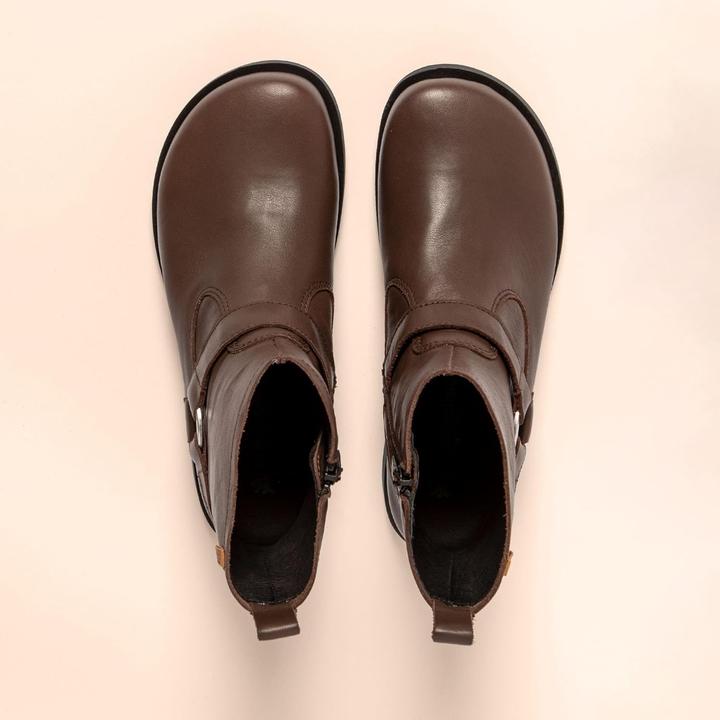 Image du produit El Naturalista Testa (42)