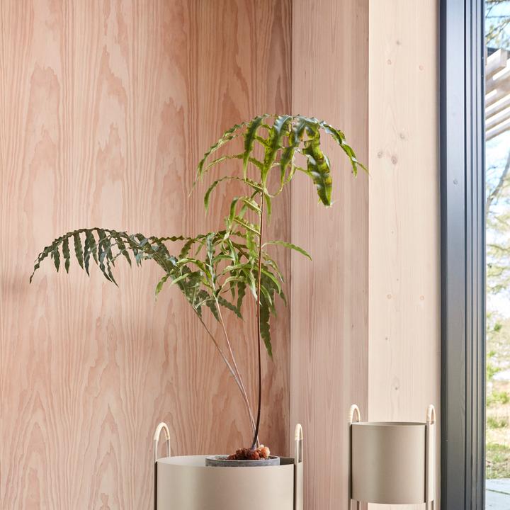 Image du produit OYOY Living Maki argile