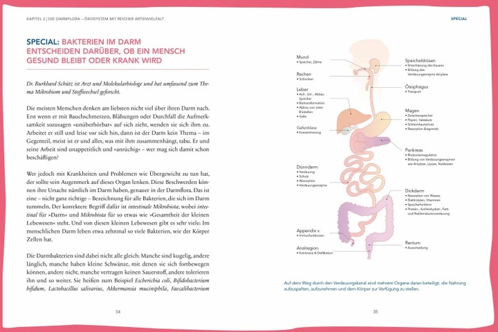 Produktbild Das hilft bei Leaky Gut - Wie ein durchlässiger Darm uns krank macht und was wir dagegen tun (Deutsch, Claus Muss, Götz Nowak, Heike Bueß-Kovács, 2019)