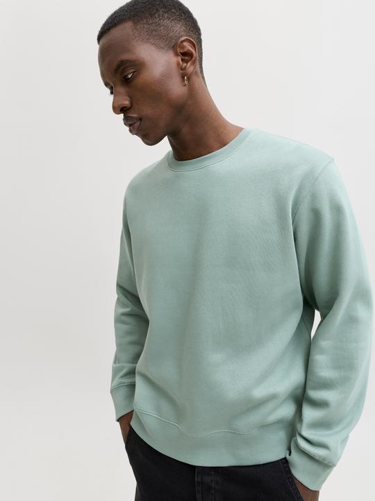 Actual product image Jack & Jones Jjestar Basic Sweat Crew Neck Noos (M)