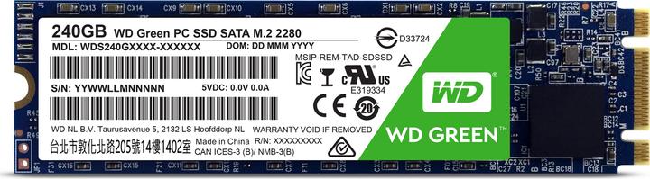 Actual product image WD Green (240 GB, M.2 2280)