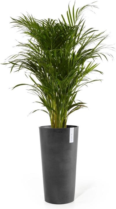 Produktbild Ecopots Amsterdam High (41 x 76 cm)