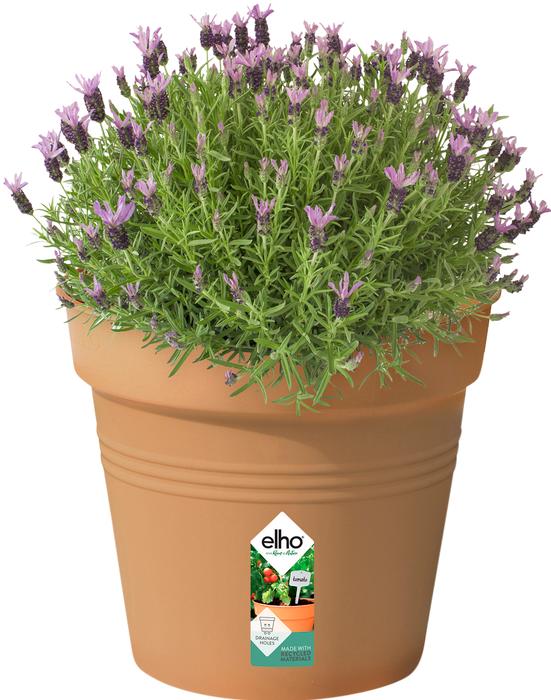 Actual product image Elho Green Basic (35 cm)