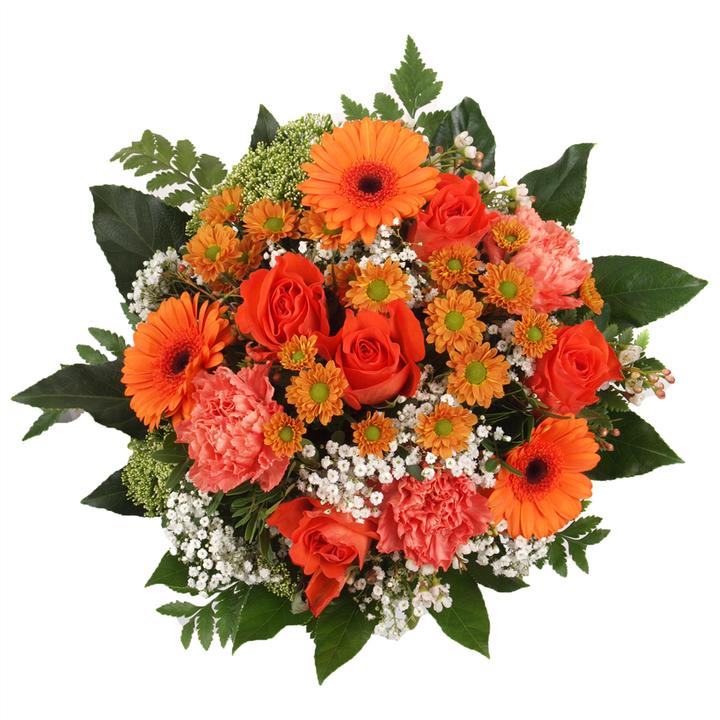 Produktbild Floramall Farblichter (Schnittblumen)