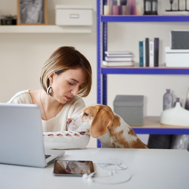 Produktbild Relaxdays Schwerlastregal