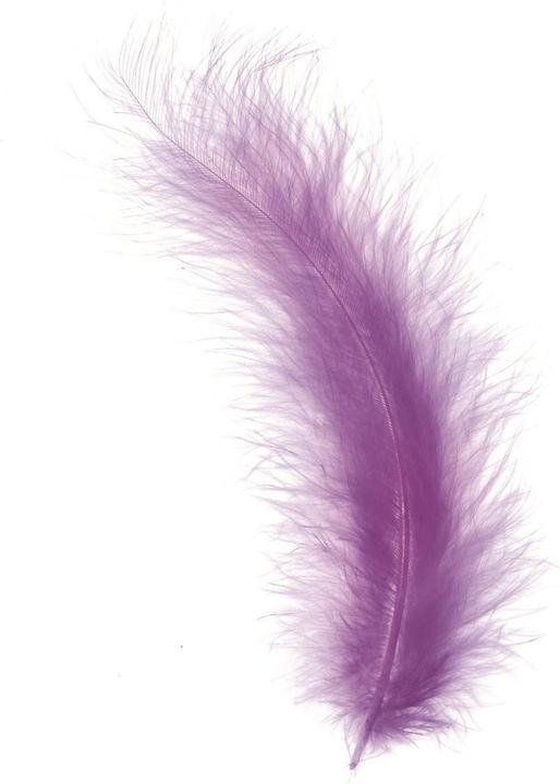 Actual product image Glorex Feathers Marabou