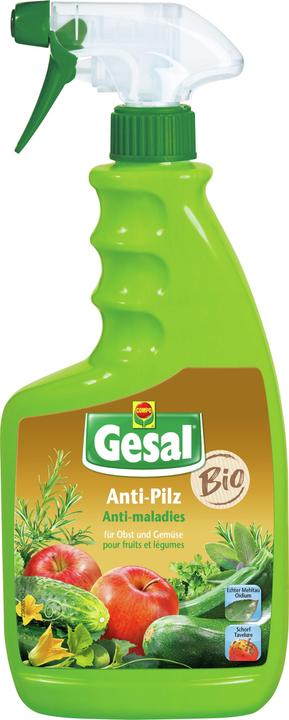 Gesal Anti-Pilz für Obst und Gemüse (Pilze)
