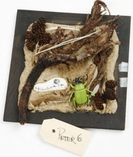 Produktbild Creativ Company Deko-Insekten (60 Stk.)