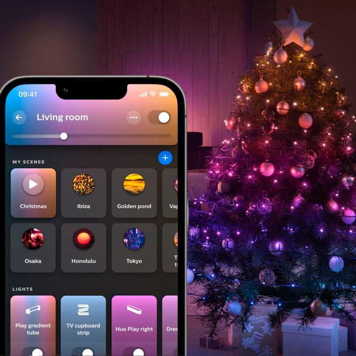 Image du produit Philips Hue Festavia (prise UE) (20 m)