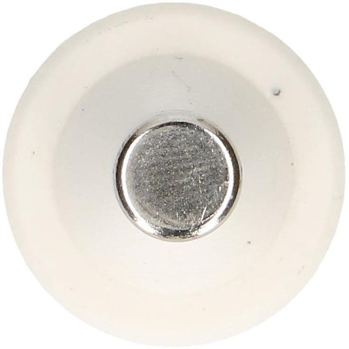 Actual product image Max Hauri Fuse DT, 5 pieces (10 A)