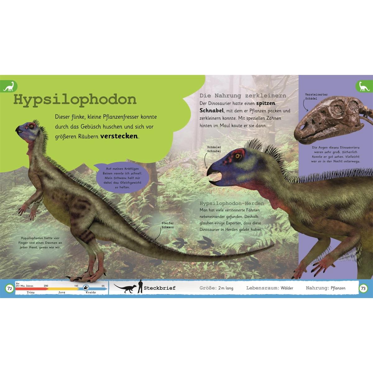 Thumbnail - Was weisst du über Dinos?, Kinderbücher von Eva Sixt