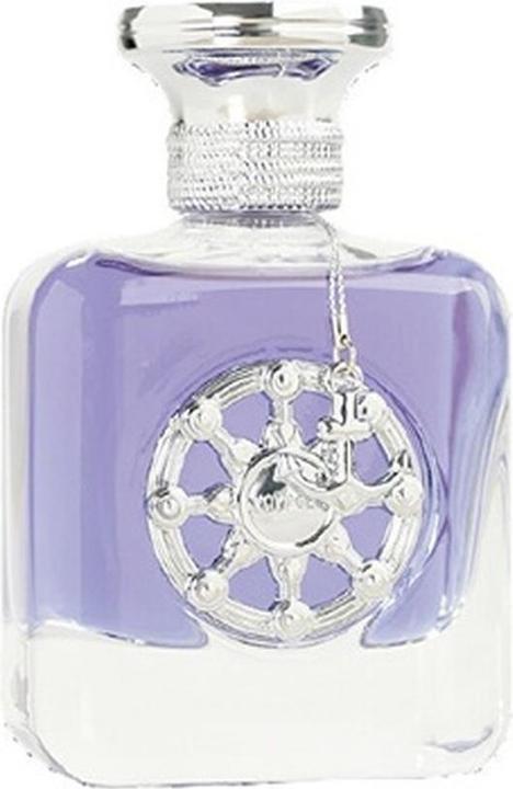 Aurora Scents Voyager Silver - EDP - Volume: 100 ml (Eau de Parfum, 100 ml)