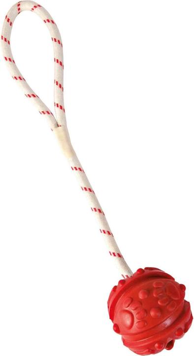 Actual product image Trixie Ball on rope (Retrieval, Dog chew toy)