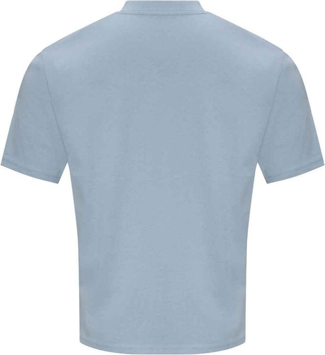Produktbild Awdis 100 TShirt (L)