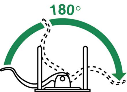 Produktbild Leitz 180° Lever Arch File (A4, 80 mm, 1 Stück)