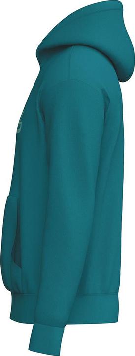 Actual product image Erima RETRO Hoody (S)