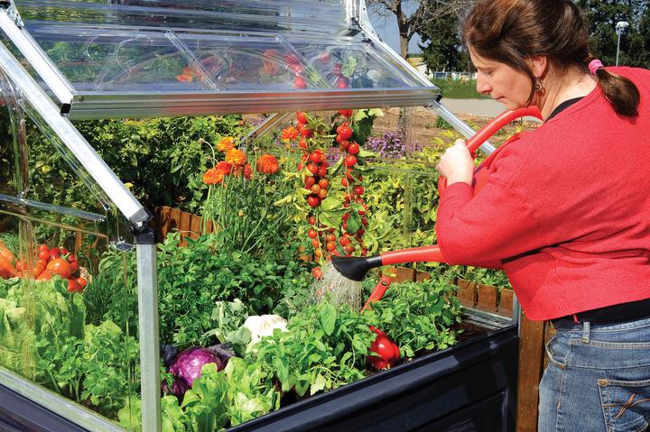 Image du produit Palram Crystal