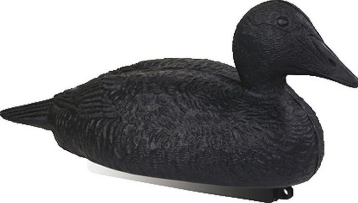 Image du produit Stepland Appelants eider