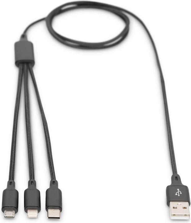 Actual product image Digitus 3in1 (1 m, 10 W)