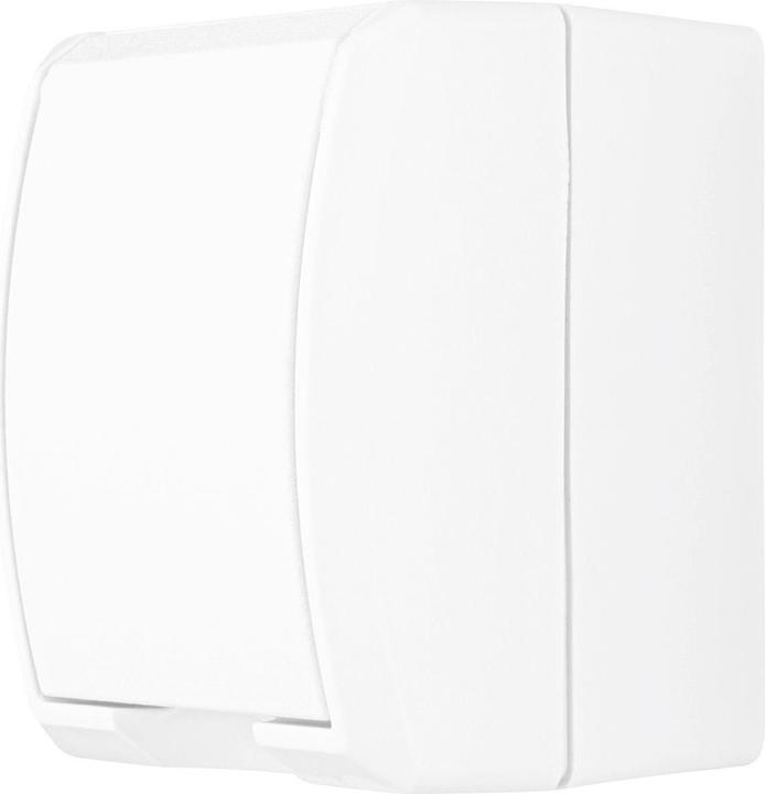 REV AquaForm FR AP-Steckdo. ws