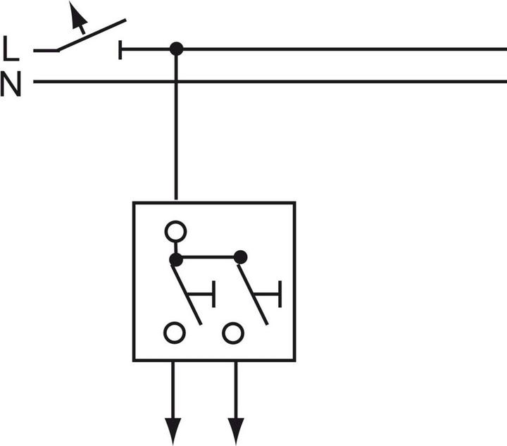 Actual product image Busch-Jaeger Double push-button 1-pole, 2 NO contacts 2CKA001413A1090