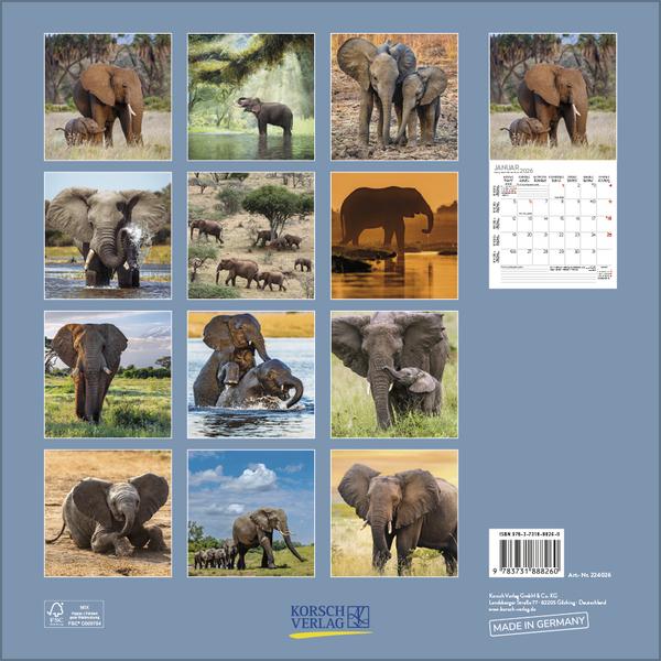 Image du produit Elefanten2026 (30 x 30 cm)