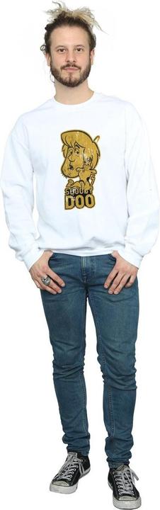 Image du produit Scooby Doo - Sweat AND SHAGGY - Homme (S)