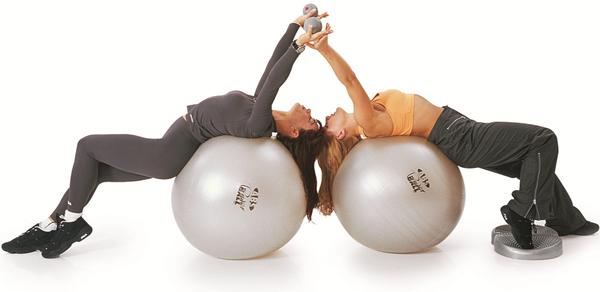 Produktbild Togu Powerball ABS (75 cm)
