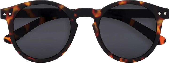 Actual product image Izipizi Sunglasses #C
