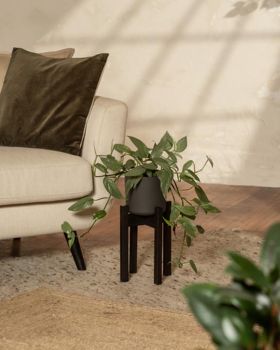 Image du produit feey Stelion