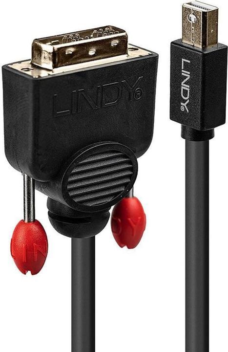 Actual product image Lindy Mini DisplayPort — DVI (2 m, DVI, DisplayPort, 1.2)