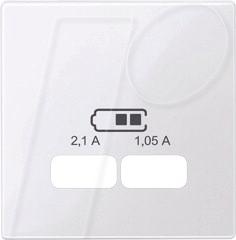 Actual product image Merten Central plate USB charging stationone. anthracite