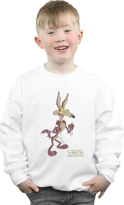 Immagine prodotto Looney Tunes Wile E Coyote Distressed Felpa Ragazzi (140, 146)