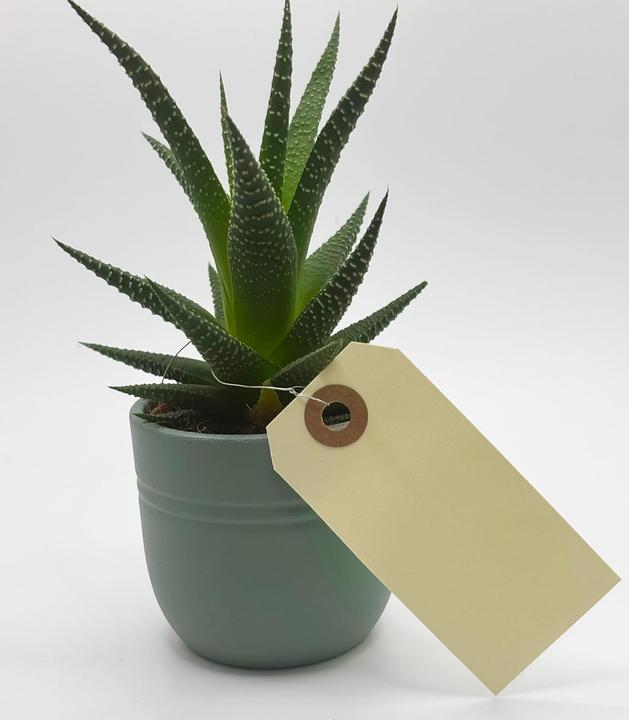 Produktbild Agipa Gep„ckanh„nger, 80 x 38 mm, neutral, mit Draht