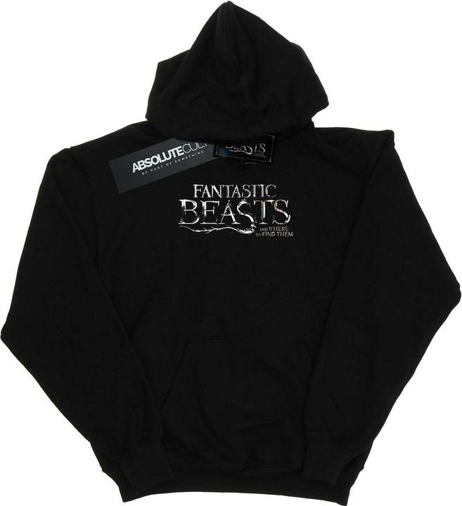 Actual product image Fantastic Beasts Mens Text Logo Hoodie (3XL)