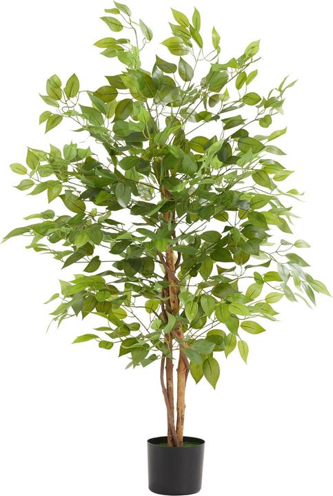 tectake Ficusbaum Fida (120 cm)