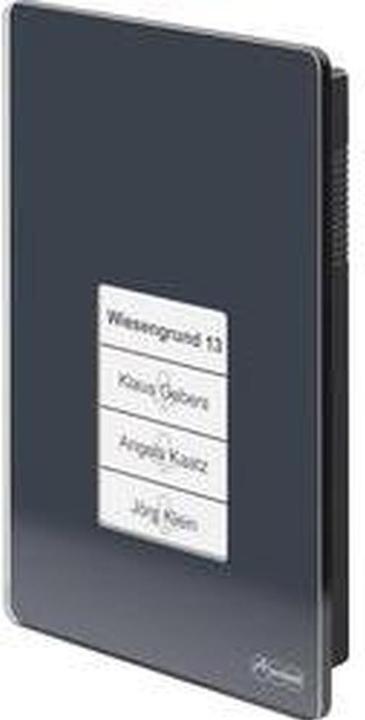 Actual product image Auerswald TFS-Dialog 400 anthracite Intercom system for a/b interfaces with elegant glass front