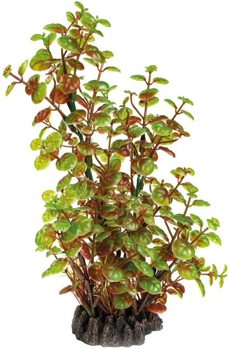 SuperFish Plante artificielle Rotala, 25 cm (Plantes, Plantes)